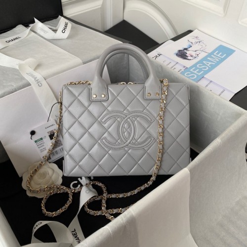 Chanel VANITY CASE AS3345 GRIS