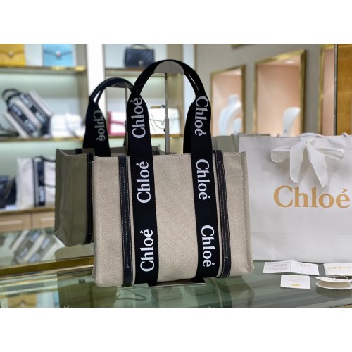 Chloe Tela de cuero 6C026 negro