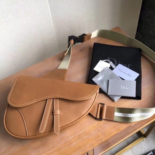 RIÑONERA DIOR OBLIQUE SADDLE M9020 marrón