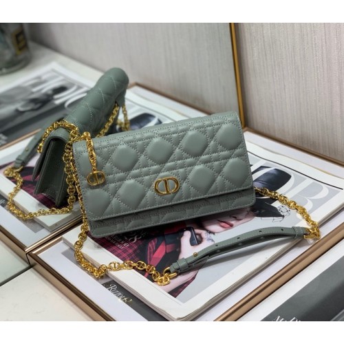 Dior BELT POUCH 2273 gris