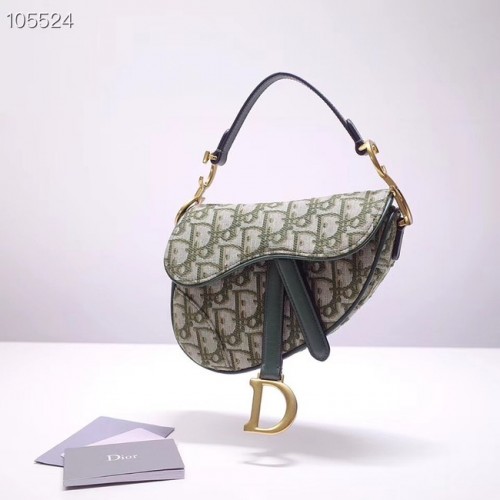 Dior SADDLE BAG CANVAS M0446 verde