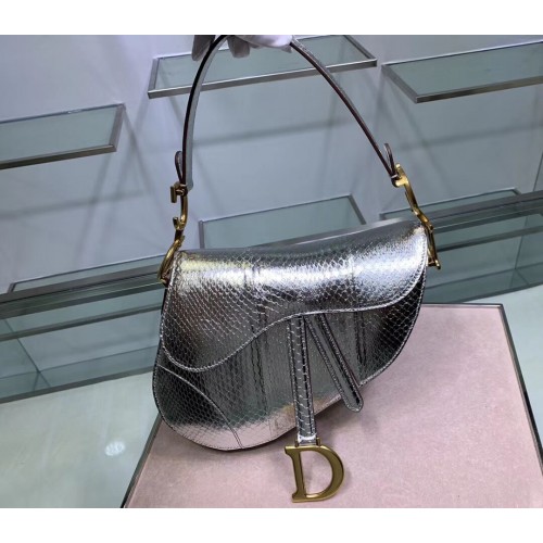 Dior SADDLE Bolso tote de piel de serpiente C9046 plata