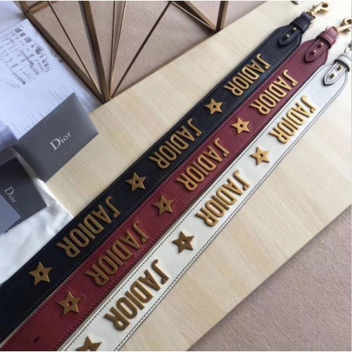 Bandolera Dior DS1118