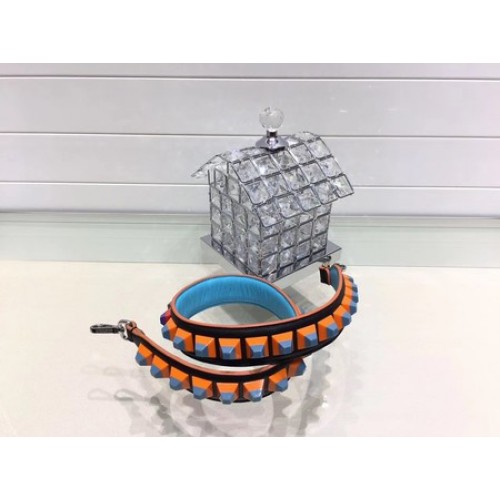 Correa de hombro larga Fendi FD025