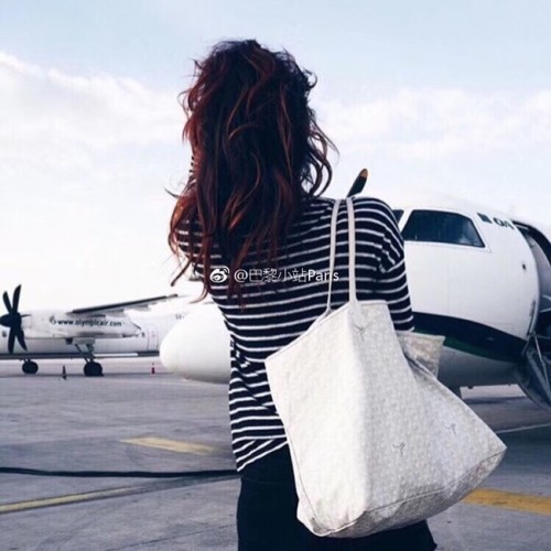 Bolso tote de piel de becerro Goyard 6783 Blanco