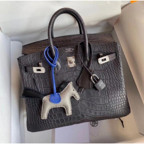 Hermes Birkin 25CM Tote Bag Original Croco Leather H25TCO Gris
