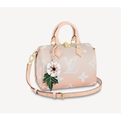 Louis Vuitton SPEEDY BANDOULIERE 25 M45722 Gris Bruma