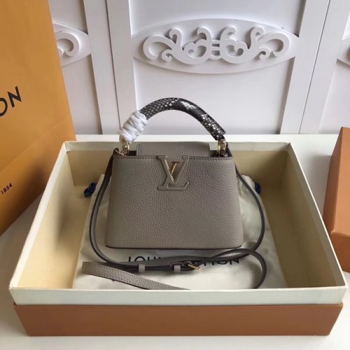 Louis vuitton original CAPUCINES MINI N94047 gris